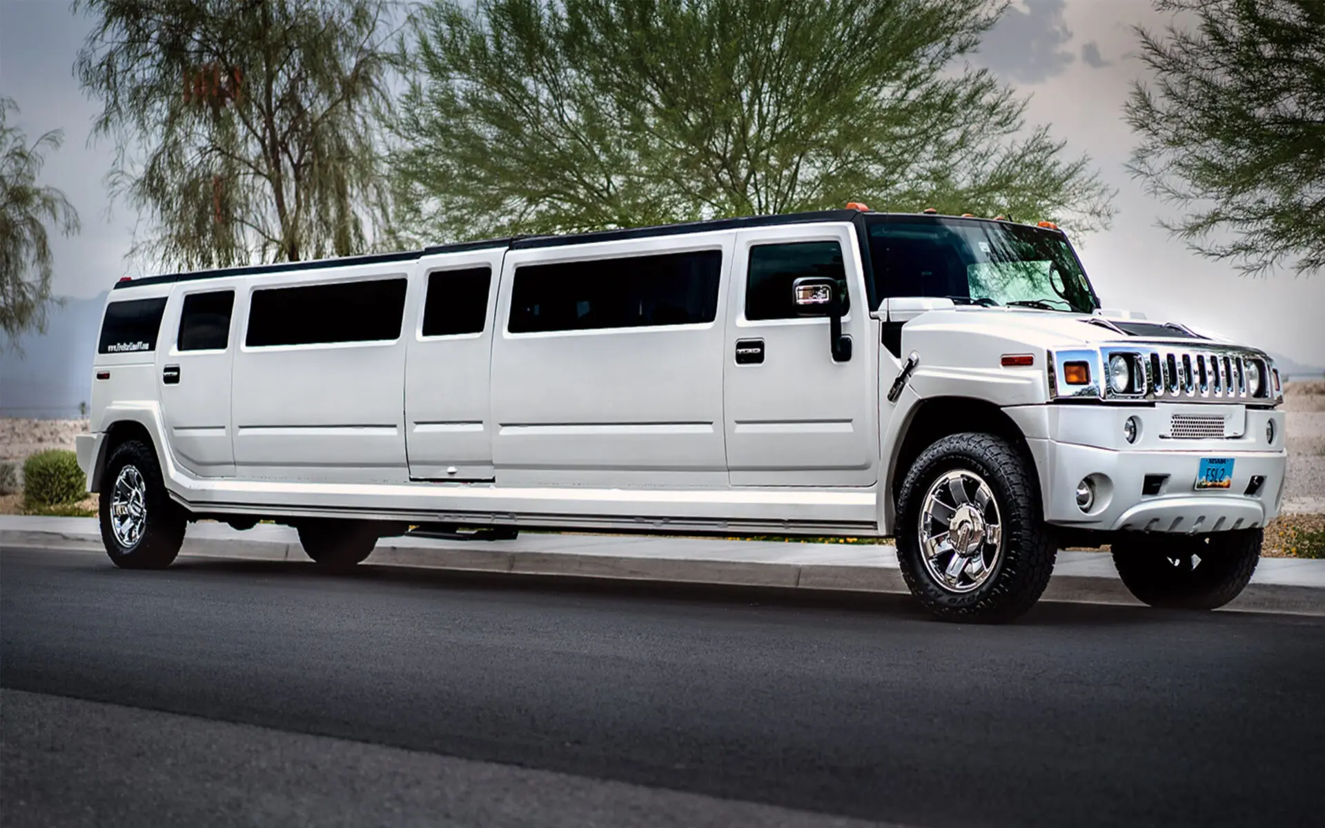 Hummer Limousine car