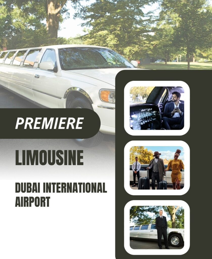 White and Grey Modern Limousine Services Flyer
